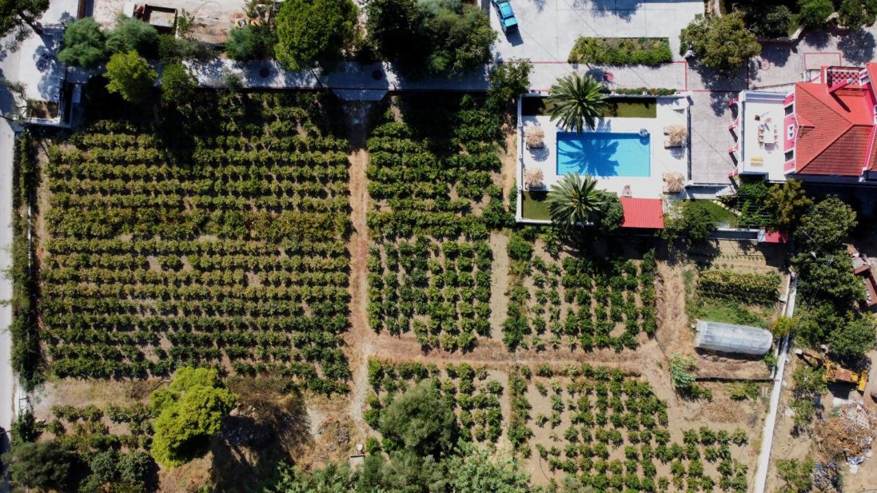 Zissis Villa & Pool 5Min Drive To Beach Kato Yerakarion エクステリア 写真